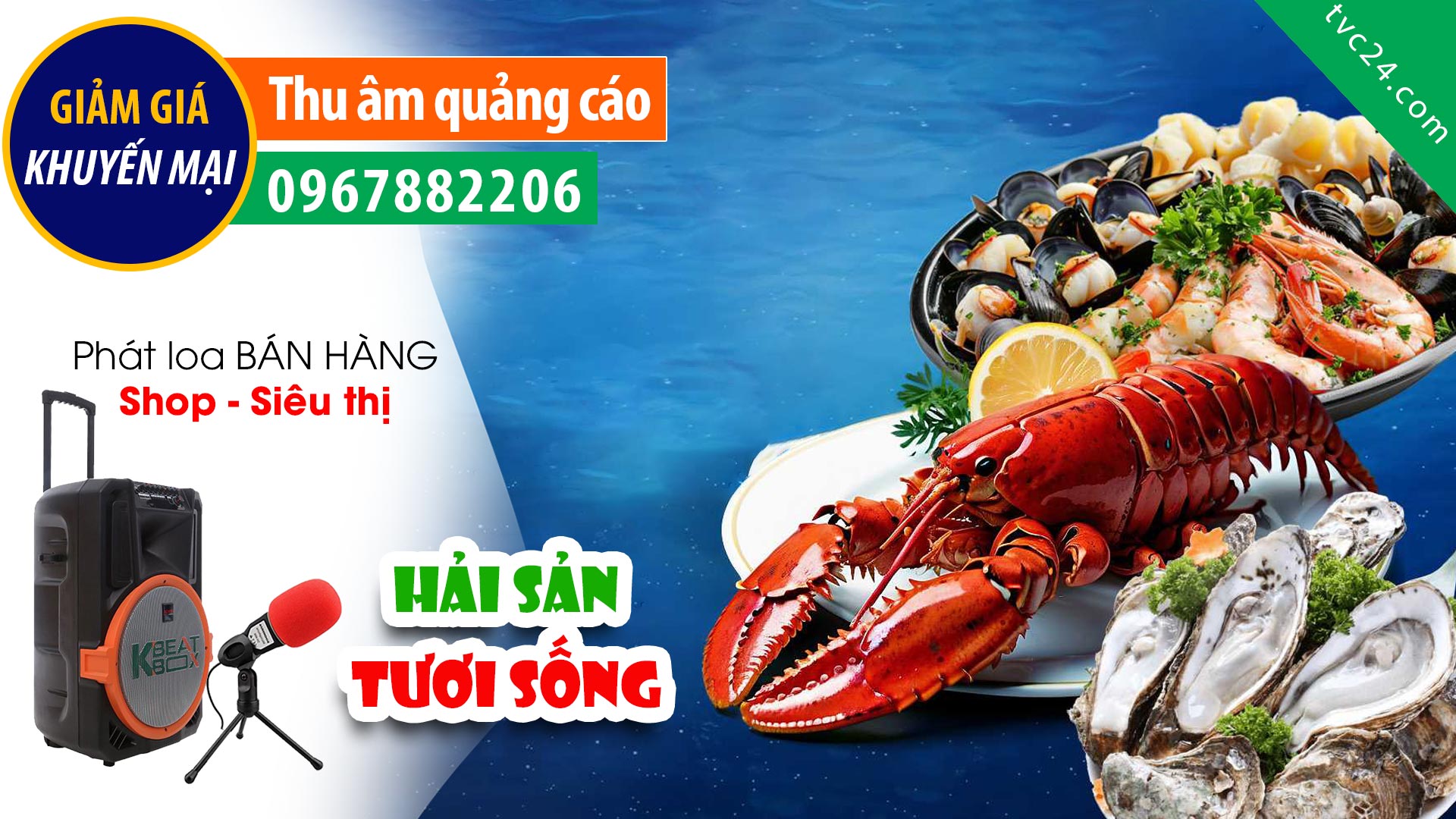 Thu âm Quảng cáo bán hàng Hải sản Nhật Lệ TVC24 đọc KHAI TRƯƠNG